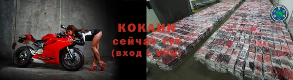 прущие грибы Кострома