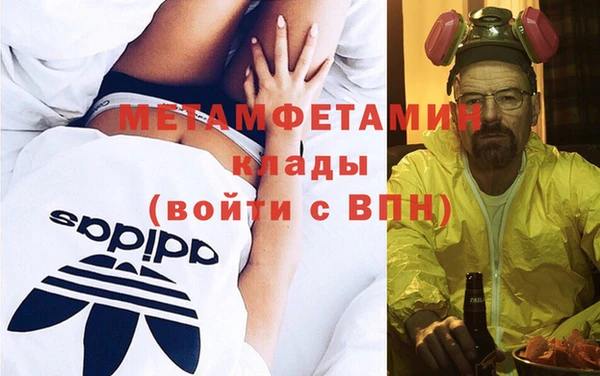 прущие грибы Кострома