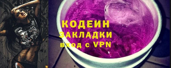 прущие грибы Кострома