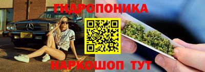 прущие грибы Волжский