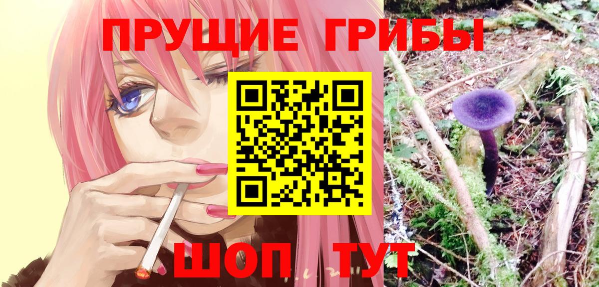 Избербаш  Галлюциногенные грибы GOLDEN TEACHER  Вход с VPN  Псилоцибиновые грибы ЛСД 